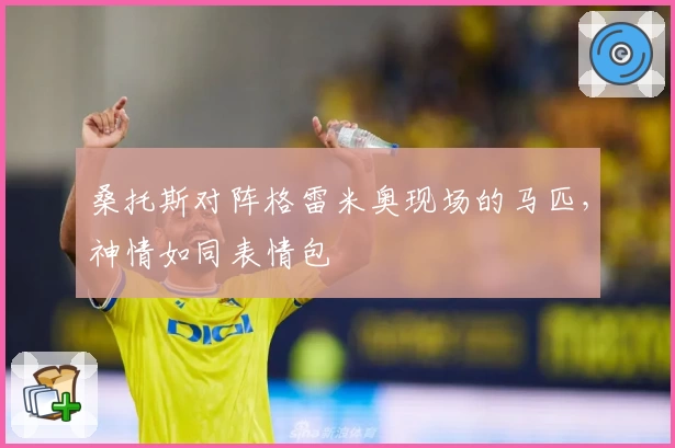 桑托斯对阵格雷米奥现场的马匹，神情如同表情包