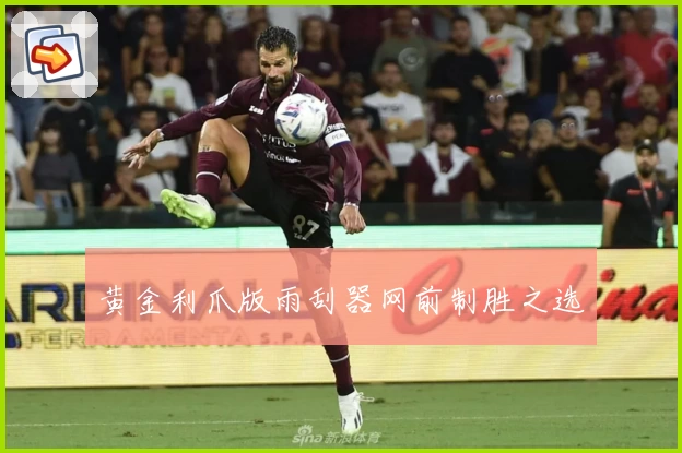 黄金利爪版雨刮器网前制胜之选