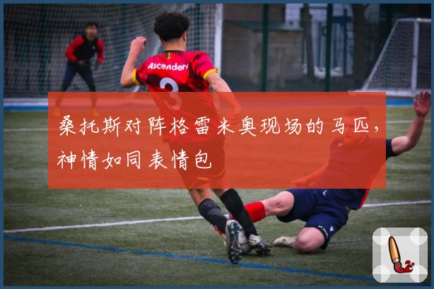 桑托斯对阵格雷米奥现场的马匹，神情如同表情包